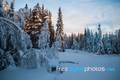 Wintertime In Sweden Stock Photo