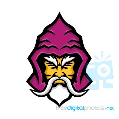 Wizard Head Front Mascot Stock Image