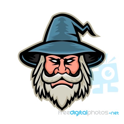 Wizard Head Mascot Stock Image