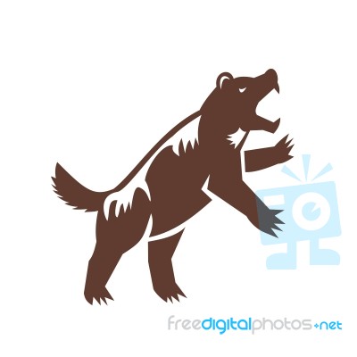 Wolverine Standing Hind Legs Retro Stock Image