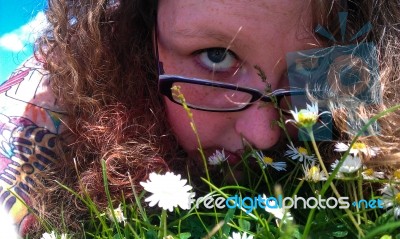 Woman And Daisies Stock Photo