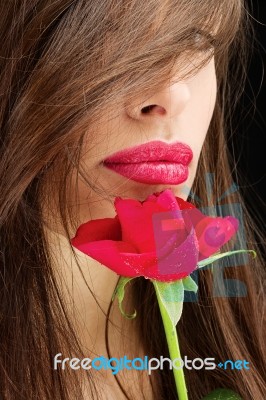 Woman And Wet Red Rose Near Her Lips Stock Photo