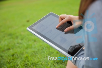 Woman Checking Reported Profits Stock Photo