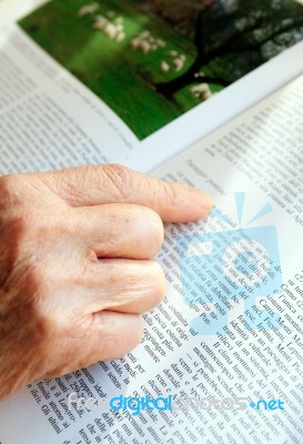 Woman Hand Stock Photo