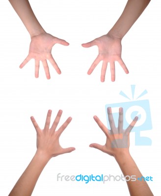 Woman Hands Stock Photo