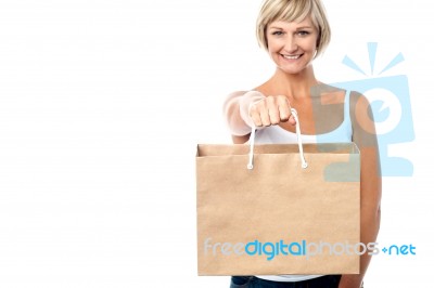 Woman Holding Paper Shopping Bag Stock Photo