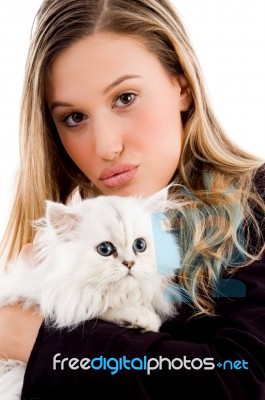 Woman Holding White Kitten Stock Photo