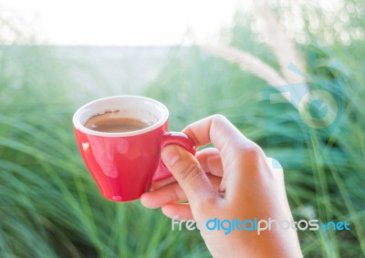 Woman Holds A Red Coffee Cup (vintage Style Color) Stock Photo