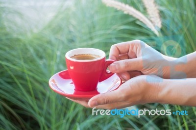 Woman Holds A Red Coffee Cup (vintage Style Color) Stock Photo