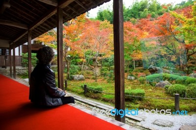 Woman In Enkoji Temple Enjoys Autumn Colorful Japanese Garden Stock Photo