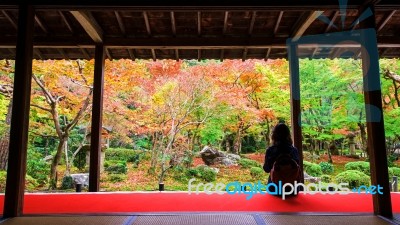 Woman In Enkoji Temple Enjoys Autumn Garden Stock Photo