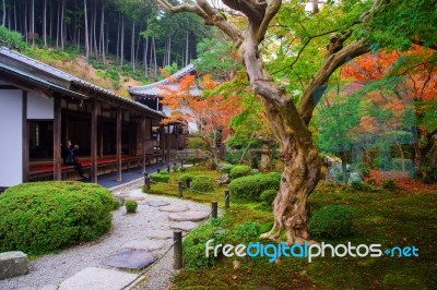 Woman In Enkoji Temple To Enjoy Autumn Garden Stock Photo