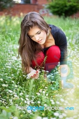 Woman In Park Gather Spring Flowers Stock Photo