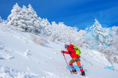 Woman In The Winter Journey With A Backpack On  Mountains Stock Photo