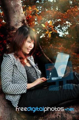 Woman Playing Laptop Stock Photo