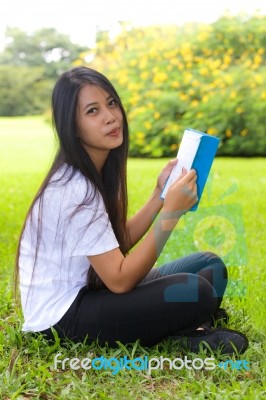 Woman Reading A Book Stock Photo