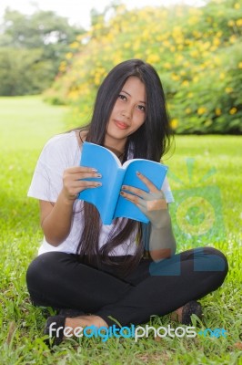 Woman Reading A Book Stock Photo