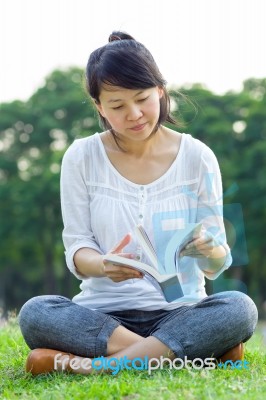 Woman Reading Book Stock Photo