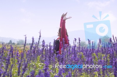 Woman Relaxing In Flower Fields Stock Photo