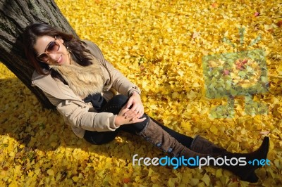 Woman Sit On Ground Be Filled With Leaves Of Ginkgo Tree In Fall… Stock Photo