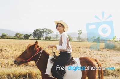 Woman Smiling With Relax Time On Small Horse Stock Photo