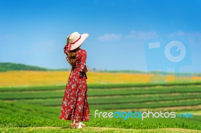 Woman Standing On Green Grass In Green Tea Field Stock Photo