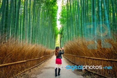 Woman Take A Photo At Bamboo Forest In Kyoto, Japan Stock Photo