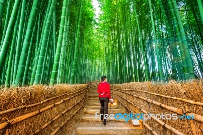 Woman Walking At Bamboo Forest In Kyoto, Japan Stock Photo