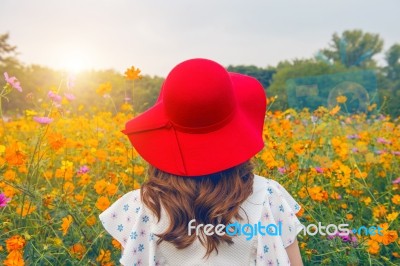 Woman Wearing A Red Hat In A Field Of Flowers Stock Photo