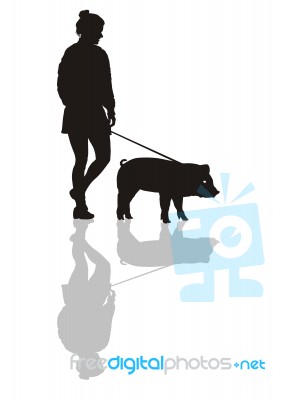 Woman With A Pig On A Leash Stock Image