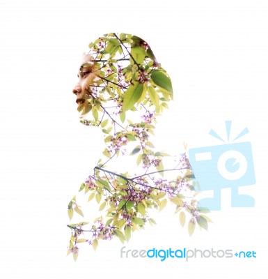 Woman With Double Exposure Of Tree Stock Photo