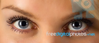 Woman's Eyes Stock Photo