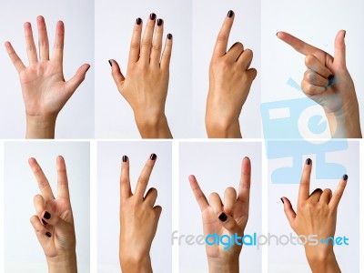 Woman's Hand Stock Photo