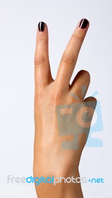 Woman's Hand Stock Photo