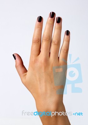 Woman's Hand Stock Photo