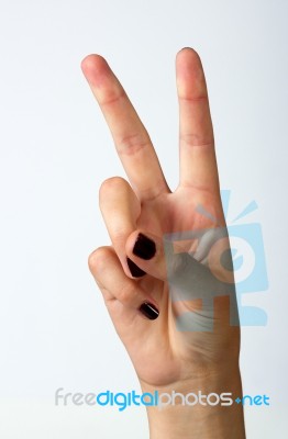 Woman's Hand Stock Photo