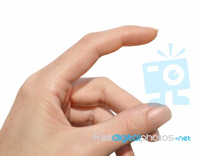 Woman's Hand Stock Photo