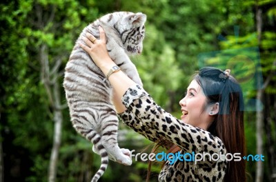 Women Hold Baby White Bengal Tiger Stock Photo