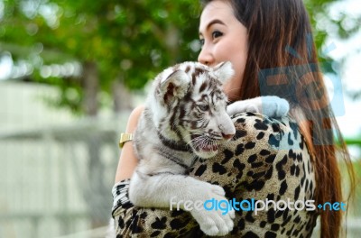 Women Hold Baby White Bengal Tiger Stock Photo