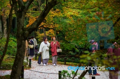 Women With Kimono Dress In Enkoji Tempe Garden Stock Photo