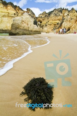 Wonderfull Portuguese Beach Stock Photo