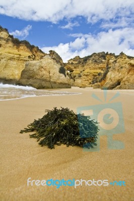 Wonderfull Portuguese Beach Stock Photo