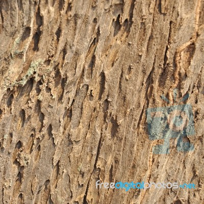 Wood Background Stock Photo