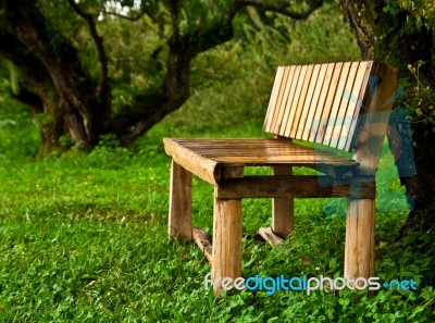 Wood Bench In Garden Stock Photo