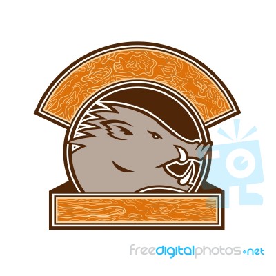 Wood Boar Head Circle Retro Stock Image