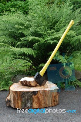 Wood Cutter Stock Photo