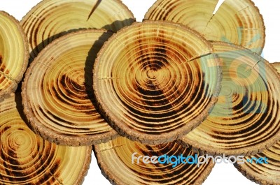 Wood Slices Stock Photo