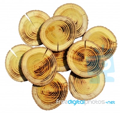 Wood Slices Stock Photo