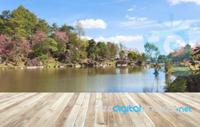 Wood Table And River And Stone With Tree In Forest Beautiful Nat… Stock Photo