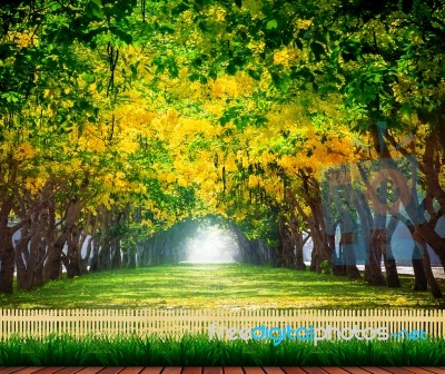 Wood Terrace With Fresh And Green Beautiful Of Summer Blooming Y… Stock Photo